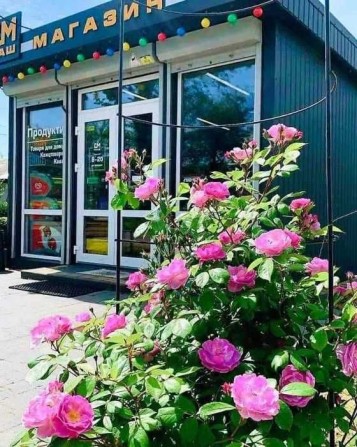 Здається в оренду магазин - фото 1