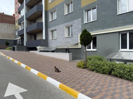 Оренда приміщення. Білогородка, О. Саєнка, А.ЖК Всі свої Гнатовка