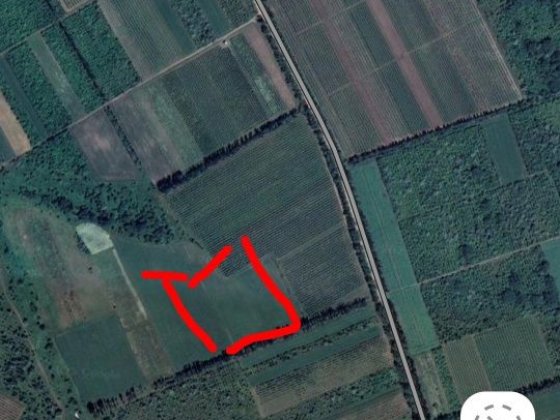 Здам в оренду пай Сокиряни Сокиряны