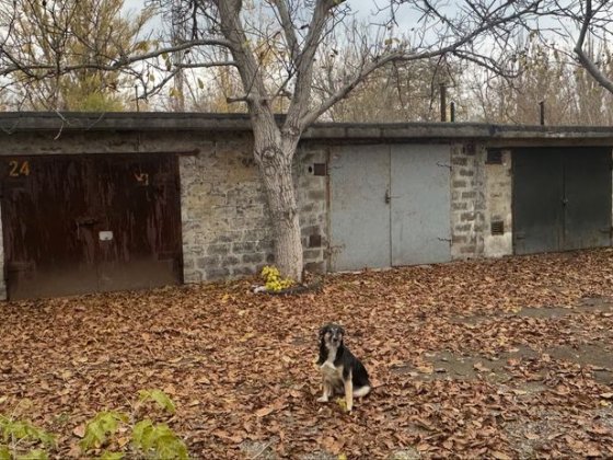 Продам гаражі масив Гігант Жовті Води