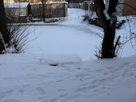 ГАРАЖ АК25 (вул. Тичини) Чернігів