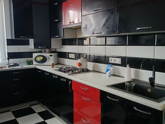 Продам будинок з євроремонтом з меблями та технікою Александрия