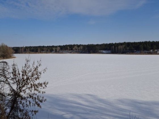 Дачний будинок, сади 3 Власівка