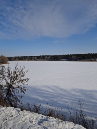 Дачний будинок, сади 3 - фото 1