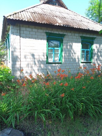 Продам дом на Власавке по Шевченко 62 - фото 1