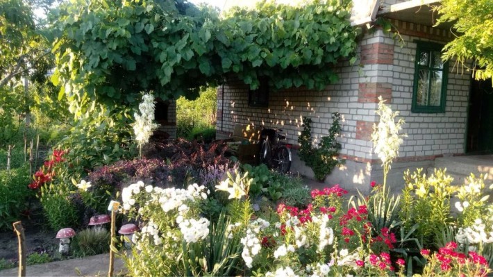 Продам дачу в селищі Власівка - фото 1