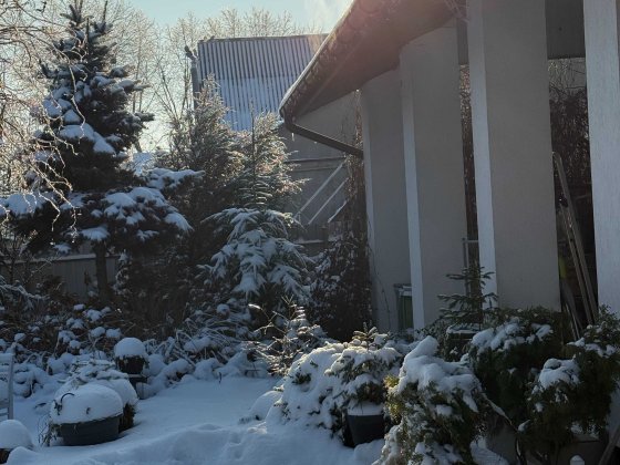 Терміновий продаж будинку з ремонтом на 20 сот. біля озера Гостомель