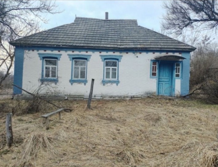 Продам будинок с. Вільшанка - фото 1