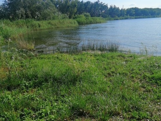 Продам дом в городе Новомосковск со своим берегом реки Самара.