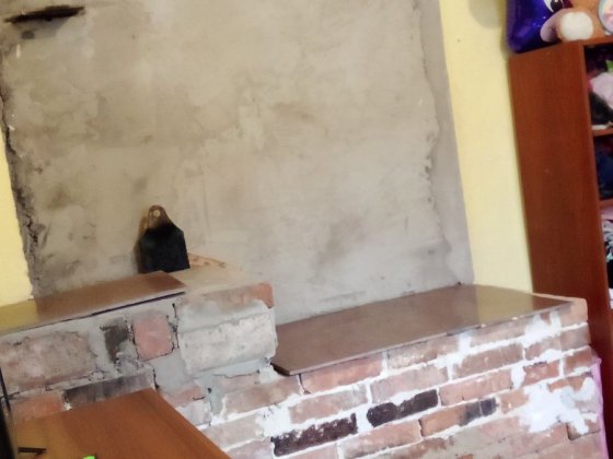 Продам дом село Вязивок