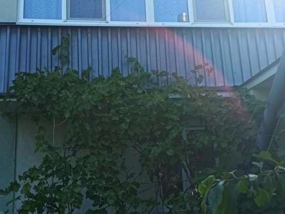 Продам двоповерховий будинок в Новоселівкі