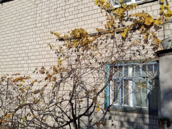 Продам двухэтажную дачу на берегу Кременчугского водохранилища Светловодск