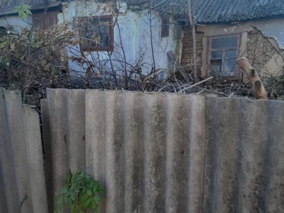 продам часть дома под.бизнес Тульчин