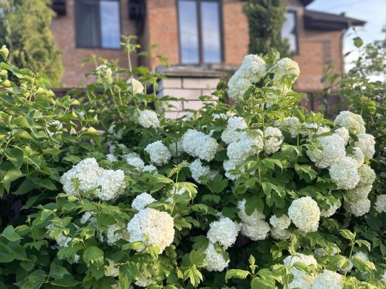 ВЛАСНИК . Будинок мрії чекає на вас с.Гореничі Гореничі