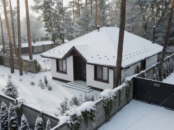 Віта - Поштова. Будинок з ялинками. 167 000 Вита-Почтовая