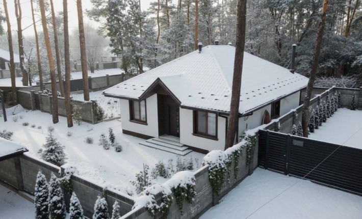 Віта - Поштова. Будинок з ялинками. 167 000 - фото 1