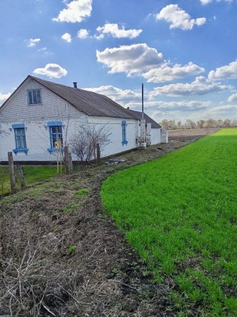 Продаж!!!с.Нова Маківка (Петрівське),Білоцерківський рн,Київська обл. - фото 1