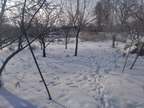 Продаю дім в селі Пасічна Баришівський район Баришівка