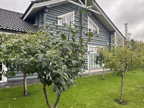 Продаж добротного БУДИНКУ на 7.5 сотках Тарасівка