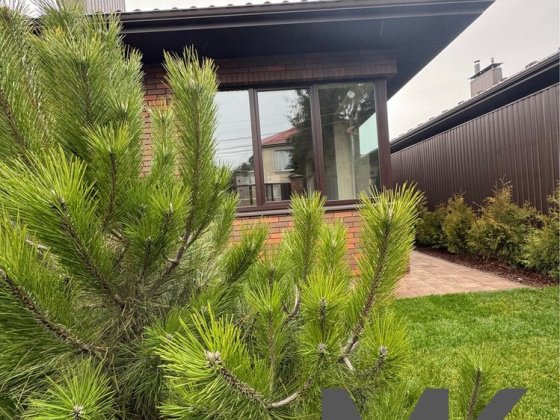 Шевченкове будинок 10 хв до Києва Шевченкове