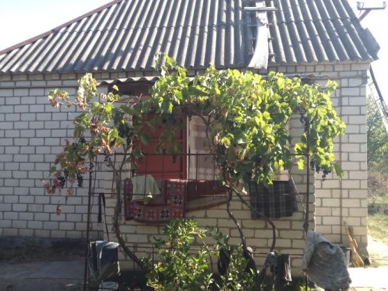 Дача за с. Сливине кінцева зупинка 163 Сливине