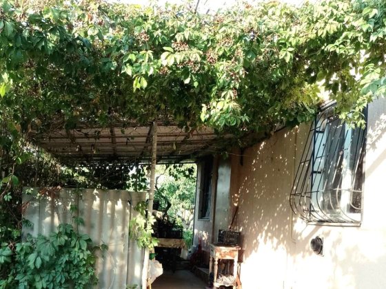 Продаю дачный домик в пригороде в хорошем месте Баловне