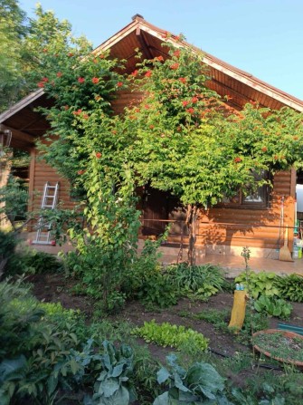 Элитный эко-дом из натурального дерева, 3 спальни,скважина Н.Дафиновка - фото 1