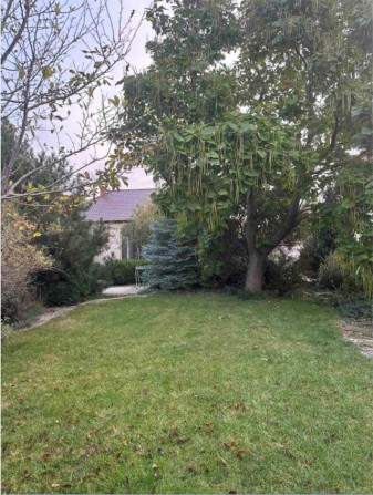 Будинок біля моря tir-01 - фото 1