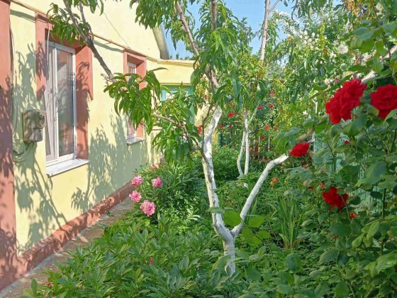 Продажа дома в городе Беляевка є-відновлення Беляевка