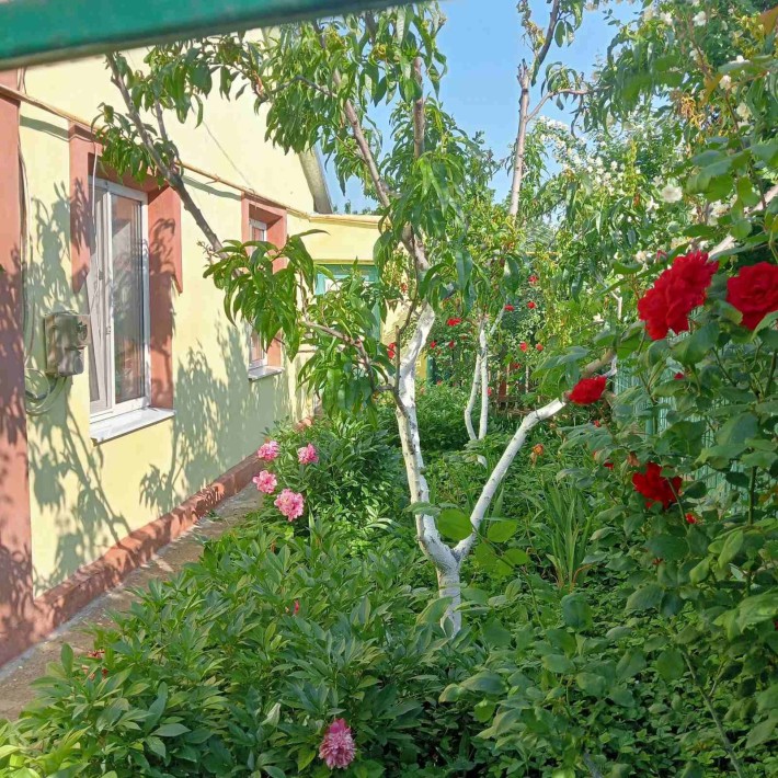 Продажа дома в городе Беляевка є-відновлення - фото 1