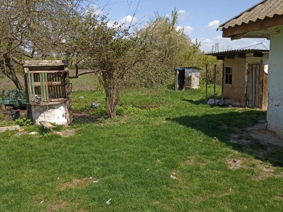 Дача будинок хата 56 соток Карловка