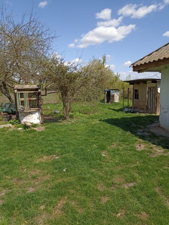 Дача будинок хата 56 соток - фото 1