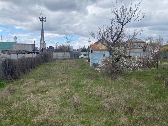 Продам дачну ділянку в Кривушах - фото 1