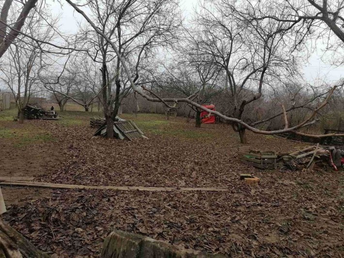 Дача в селі Мачухи - фото 1