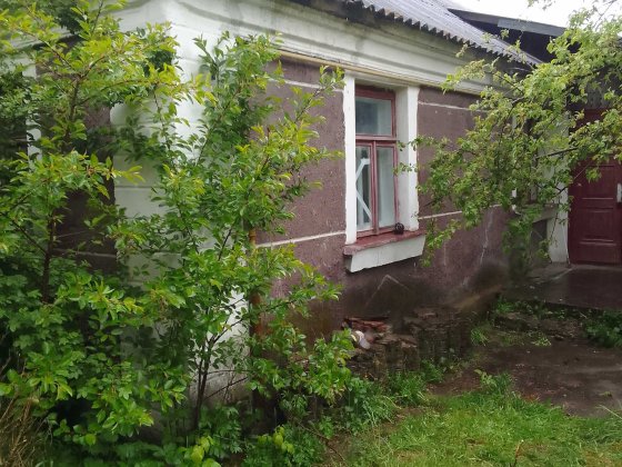 Продається будинок в с. Великий Житин Великий Житин