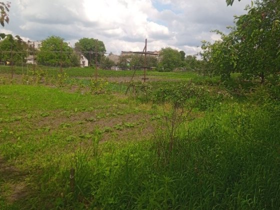 Продаётся под полдома с приусадебным хозяйством Бурынь