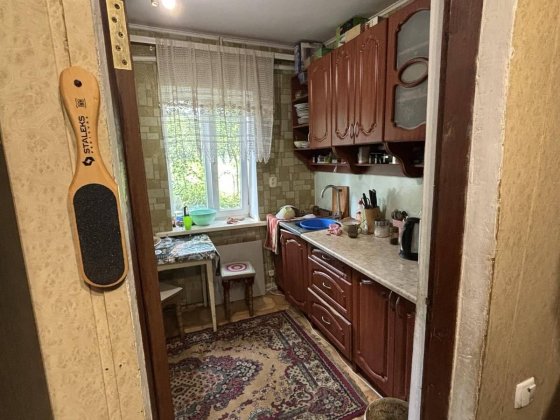 Затишний будинок з великою ділянкою, є усі комунікації! 35929 Лісові Гринівці