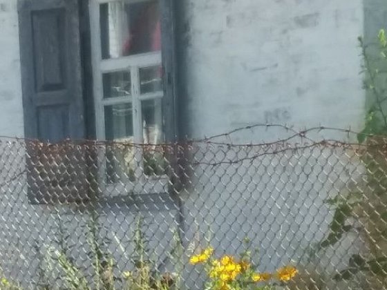 Будинок продаю в місті(здам) Золотоноша