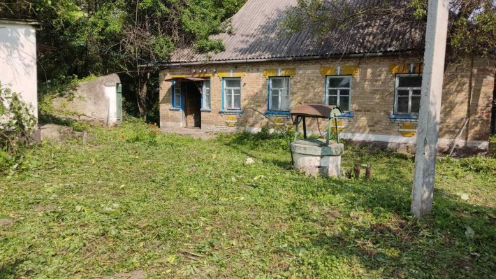 Дім в селі Селище, Черкаська область ТОРГ - фото 1