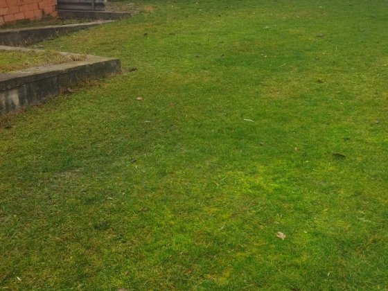 Продаж будинку  по вул І Франка Сторожинец