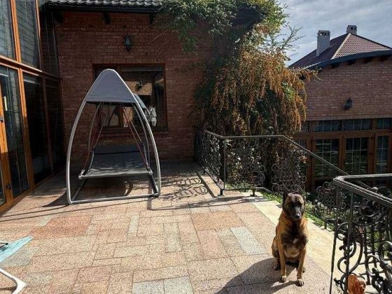 Унікальний будинок у середньовічному стилі, с. Чагор Чагор