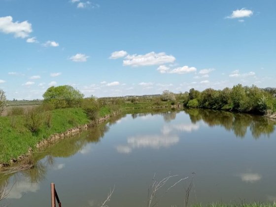 Продається господарство Глибока