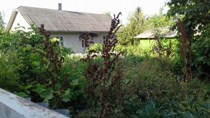 У м. Заставна продається будинок з землею - фото 1