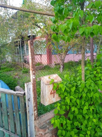 Продаж будинку, село Зелене, Запорізька область - фото 1