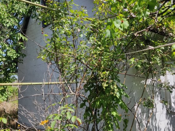 Дача в районі Льовшинського заливу Ростуще