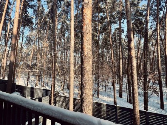 Просторий дуплекс у Бучі, 133 м², серед сосен.Максимальне наповнення Буча