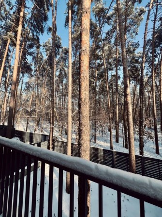 Просторий дуплекс у Бучі, 133 м², серед сосен.Максимальне наповнення - фото 1