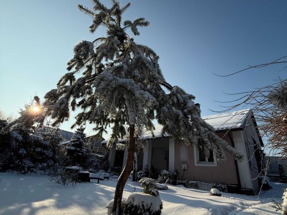 Будинок з ремонтом біля озера та ділянкою 20 соток Ірпінь