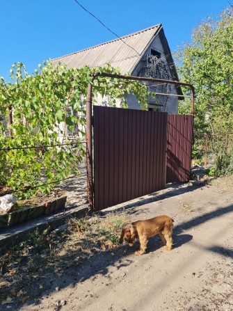 Продаю Дачу ТОВ "Симеренко" - фото 1