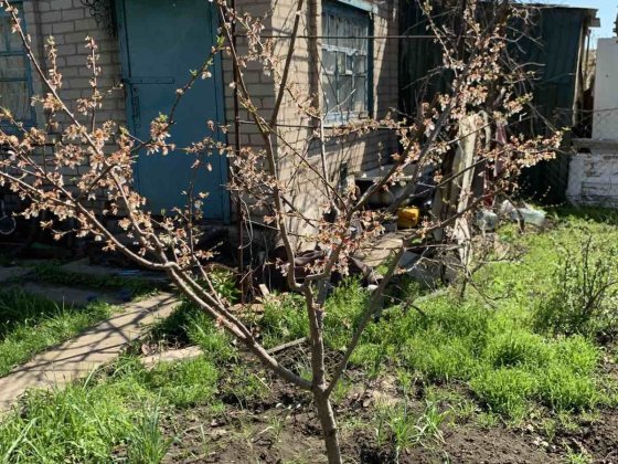 Продається Дача Кривий Ріг